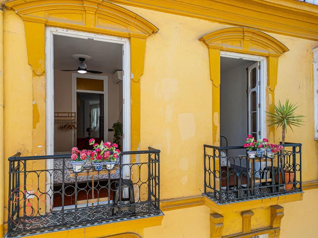 Beautiful Flat Near Plaza Merced